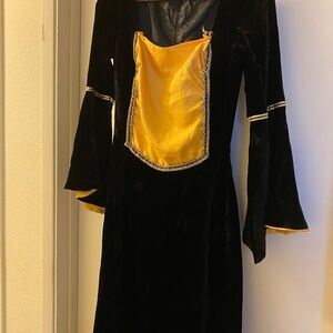 Velvet renaissance dress/costume